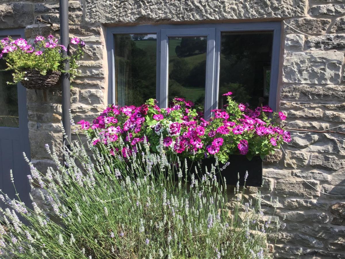 Lee House Farm Holiday Cottage With Possible Use Of Hot Tub Ninety Pounds A Session Waterfall Exterior foto